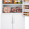 Fridge and Freezer