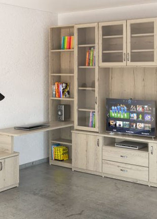 Grand Wall Unit with TV Space