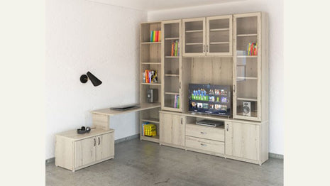 Grand Wall Unit with TV Space