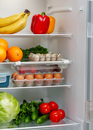 Fridge Pull-Out Drawer