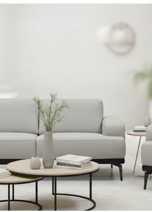 One sofa – light grey set with armchair