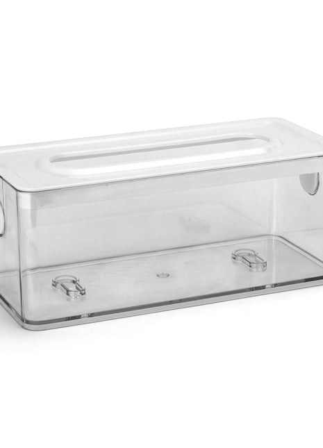 Bag Organizing Container