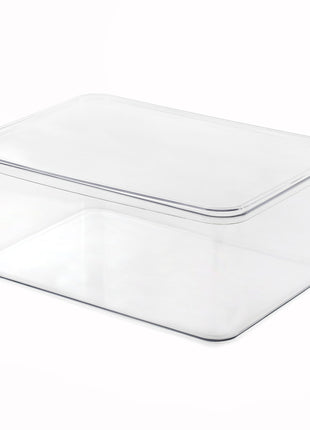 Clear Organizing Containers with Lids